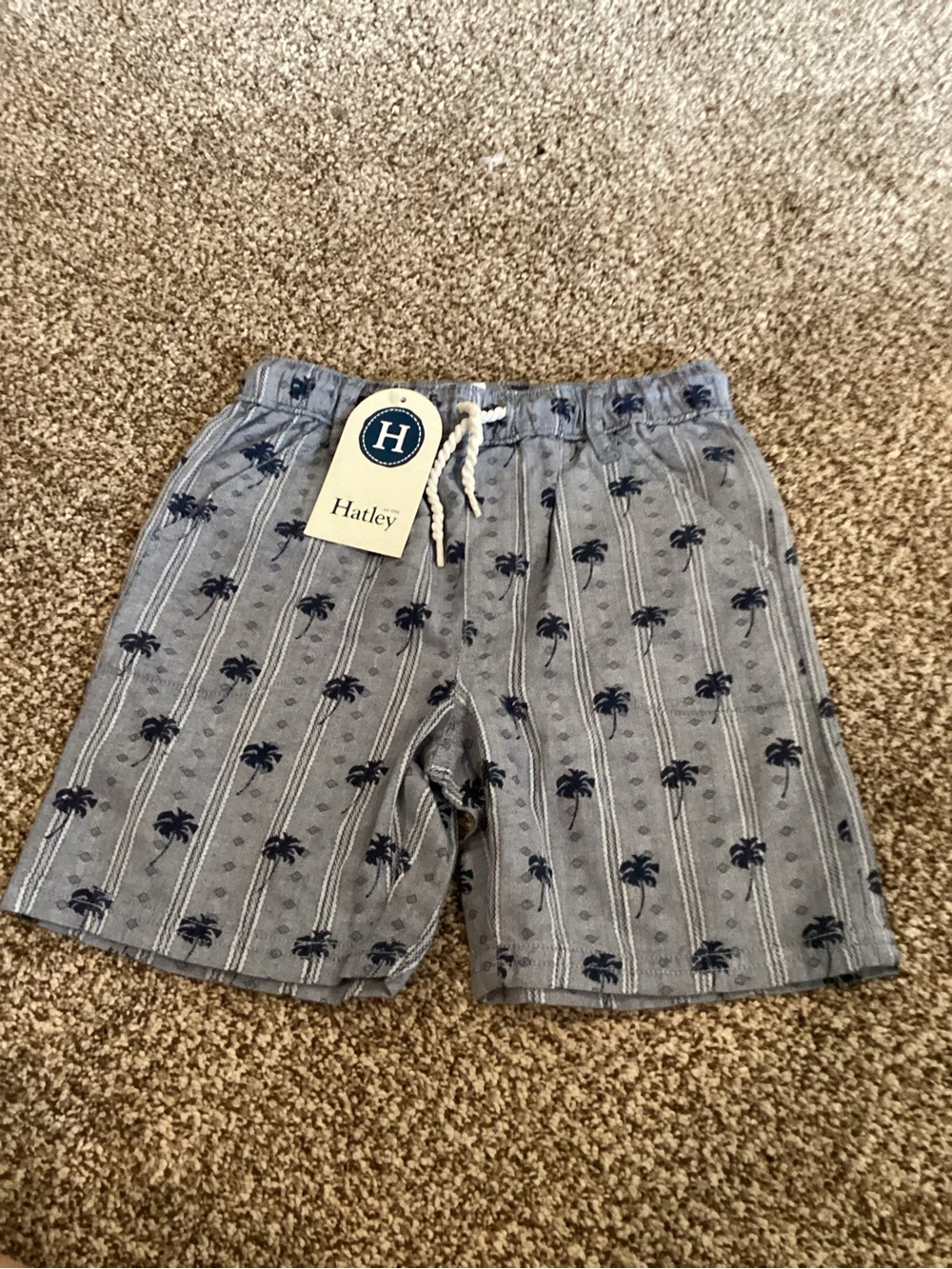 Hatley Patterned Boys'Shorts